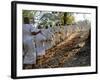 A Procession of Buddhist Nuns Make Their Way Through the Temples of Angkor, Cambodia, Indochina-Andrew Mcconnell-Framed Photographic Print