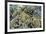 A Profusion of Hard and Soft Coral Underwater on Siaba Kecil-Michael Nolan-Framed Photographic Print