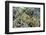 A Profusion of Hard and Soft Coral Underwater on Siaba Kecil-Michael Nolan-Framed Photographic Print