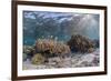 A profusion of hard and soft corals on Sebayur Island, Komodo Nat'l Park, Flores Sea, Indonesia-Michael Nolan-Framed Photographic Print