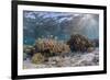 A profusion of hard and soft corals on Sebayur Island, Komodo Nat'l Park, Flores Sea, Indonesia-Michael Nolan-Framed Photographic Print