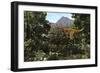 A Protofeathered Lythronax Comes Upon a Pair of Diabloceratops-null-Framed Premium Giclee Print