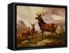 A Proud Stag-Samuel John Carter-Framed Stretched Canvas