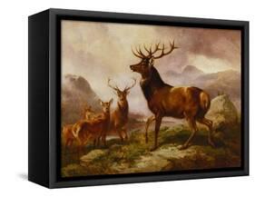 A Proud Stag-Samuel John Carter-Framed Stretched Canvas