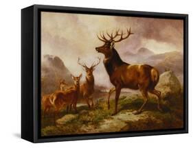 A Proud Stag-Samuel John Carter-Framed Stretched Canvas