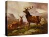 A Proud Stag-Samuel John Carter-Stretched Canvas