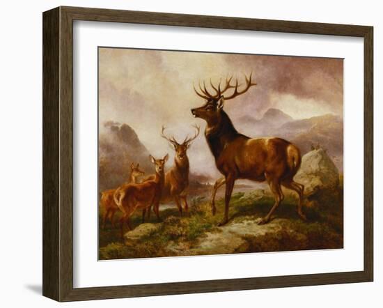 A Proud Stag-Samuel John Carter-Framed Giclee Print