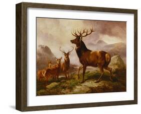 A Proud Stag-Samuel John Carter-Framed Giclee Print