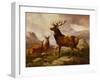 A Proud Stag-Samuel John Carter-Framed Giclee Print