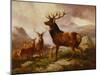 A Proud Stag-Samuel John Carter-Mounted Giclee Print