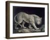 A Prowling Tiger (Pencil on Paper)-Elizabeth Pringle-Framed Giclee Print