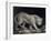 A Prowling Tiger (Pencil on Paper)-Elizabeth Pringle-Framed Giclee Print