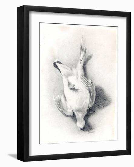 A Ptarmigan, 1898-99-Edward Adrian Wilson-Framed Giclee Print