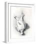 A Ptarmigan, 1898-99-Edward Adrian Wilson-Framed Giclee Print