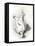 A Ptarmigan, 1898-99-Edward Adrian Wilson-Framed Stretched Canvas