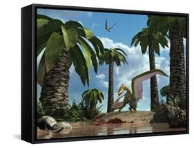 A Pterosaur Flying Reptile Lands Next to Some Carrion-Stocktrek Images-Framed Stretched Canvas
