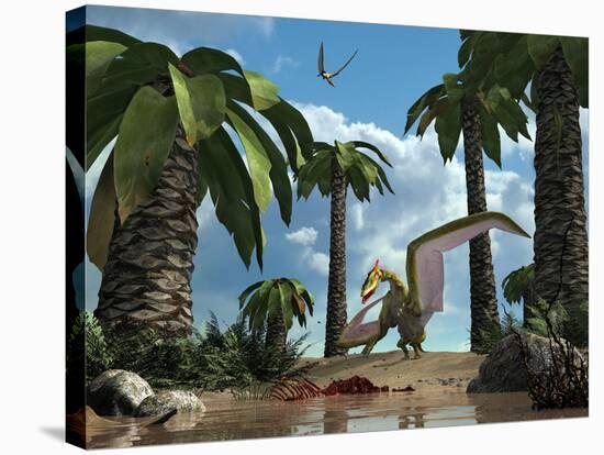 A Pterosaur Flying Reptile Lands Next to Some Carrion-Stocktrek Images-Stretched Canvas