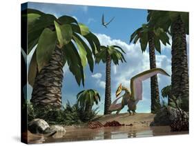 A Pterosaur Flying Reptile Lands Next to Some Carrion-Stocktrek Images-Stretched Canvas