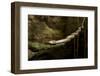 A Puerto Rican Boa at the Mouth of La Cueva De Los Culebrones, a Cave in Puerto Rico-Neil Losin-Framed Photographic Print