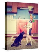 A Pug and a Beagle with Birthday Cake-graphicphoto-Stretched Canvas