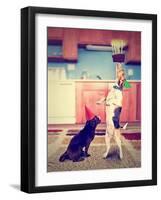 A Pug and a Beagle with Birthday Cake-graphicphoto-Framed Photographic Print