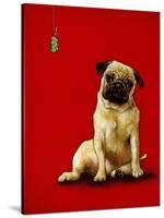 A Pug and a Kiss-Will Bullas-Stretched Canvas