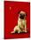 A Pug and a Kiss-Will Bullas-Stretched Canvas