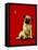 A Pug and a Kiss-Will Bullas-Framed Stretched Canvas