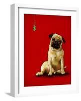 A Pug and a Kiss-Will Bullas-Framed Giclee Print