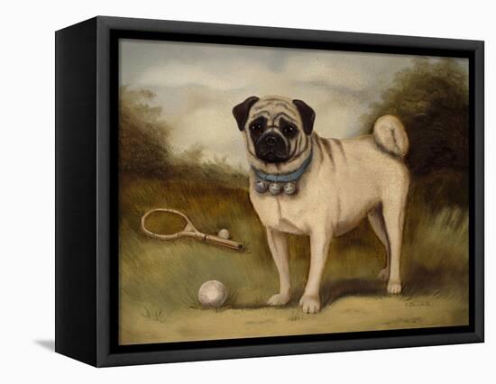 A Pug in Court-Porter Design-Framed Stretched Canvas