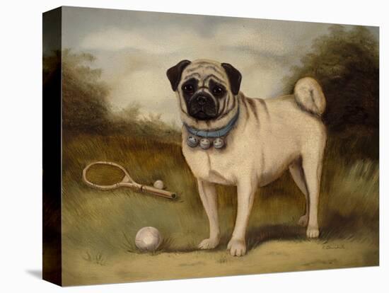 A Pug in Court-Porter Design-Stretched Canvas