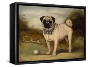 A Pug in Court-Porter Design-Framed Stretched Canvas