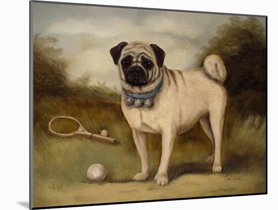 A Pug in Court-Porter Design-Mounted Giclee Print