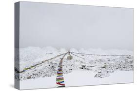 A puja adorned with prayer flags on Khumbu glacier, Everest Base Camp, Khumbu, Nepal, Himalayas-Alex Treadway-Stretched Canvas