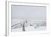 A puja adorned with prayer flags on Khumbu glacier, Everest Base Camp, Khumbu, Nepal, Himalayas-Alex Treadway-Framed Photographic Print