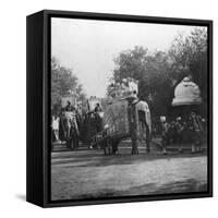 A Punjabi Princess in an Elephant Procession, Delhi, India, 1900s-H & Son Hands-Framed Stretched Canvas