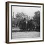 A Punjabi Princess Riding an Elephant in a Procession, Delhi, India, 1900s-H & Son Hands-Framed Giclee Print