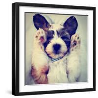 A Puppy Sleeping on a Lap-graphicphoto-Framed Photographic Print