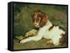 A Puppy Teasing a Frog, 1824-Edwin Henry Landseer-Framed Stretched Canvas