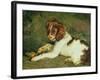 A Puppy Teasing a Frog, 1824-Edwin Henry Landseer-Framed Giclee Print