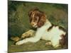 A Puppy Teasing a Frog, 1824-Edwin Henry Landseer-Mounted Giclee Print