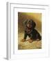 A Puppy-Heinrich Sperling-Framed Premium Giclee Print