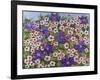 A Purple Patch, 2011-Pat Scott-Framed Giclee Print