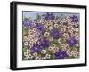 A Purple Patch, 2011-Pat Scott-Framed Giclee Print