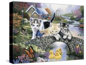 A Purrfect Day-Jenny Newland-Stretched Canvas