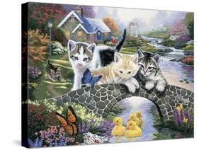 A Purrfect Day-Jenny Newland-Stretched Canvas