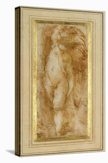 A Putto Turned to the Left-Parmigianino-Stretched Canvas