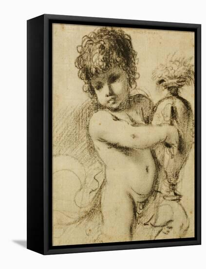 A Putto with a Vase-Guercino (Giovanni Francesco Barbieri)-Framed Stretched Canvas