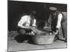 A Pygmy Hippo Having a Soak at Zsl London Zoo, August 1928-Frederick William Bond-Mounted Photographic Print