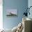 A Qatar Emiri Air Force Mirage 2000-5Eda/5Dda-Stocktrek Images-Stretched Canvas displayed on a wall